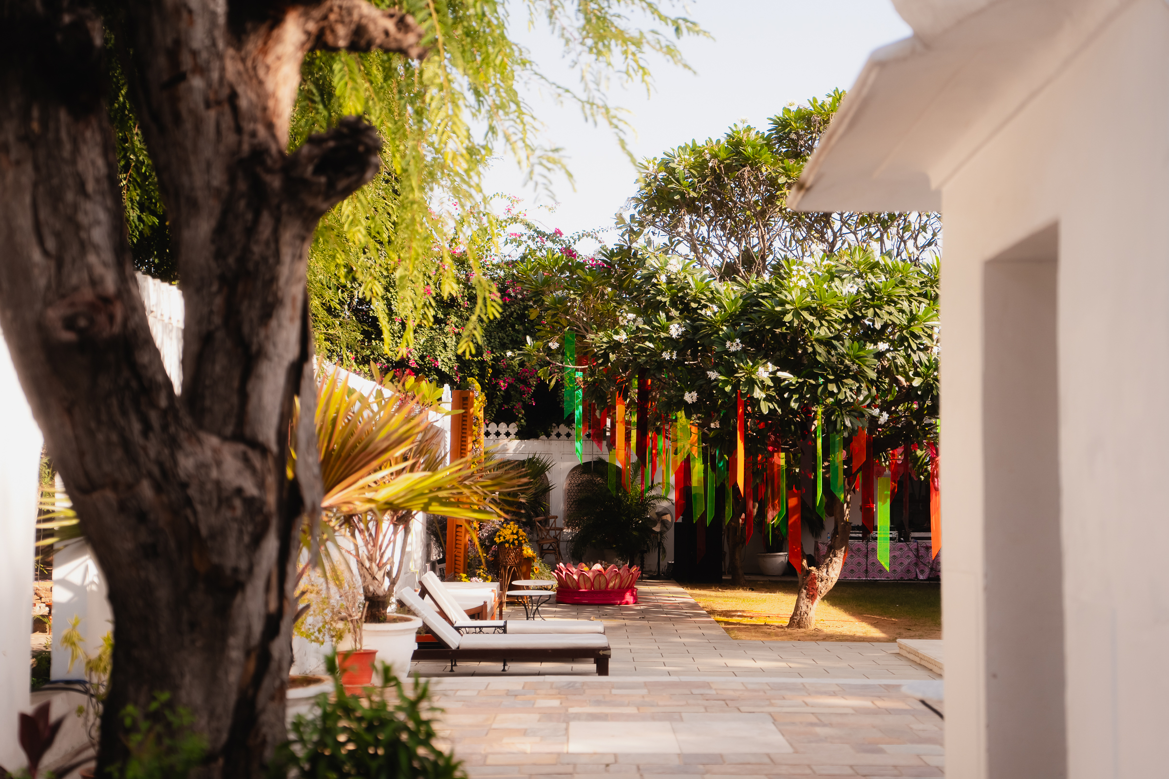 Image from Akhila Anand